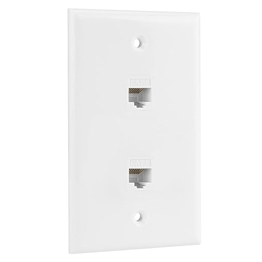 Ethernet Wall Plate, 2 Port Cat 6 RJ45 Keystone Female to Female Wall Plate by RICNOS