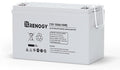 Renogy Deep Cycle AGM 12 Volt 100Ah Battery, 3% Self-Discharge Rate, 1100A Max by RenogySolar