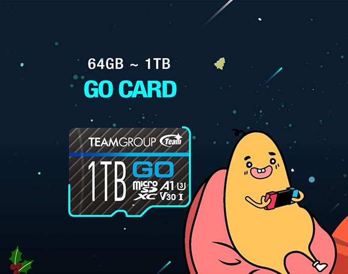 TEAMGROUP GO Card 256GB x 2 Pack Micro SDXC UHS-I U3 V30 4K - Image 6