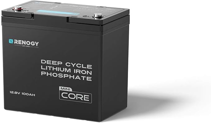 Renogy 12V 100Ah LiFePO4 Lithium Battery Mini Size, 100A BMS by RenogySolar
