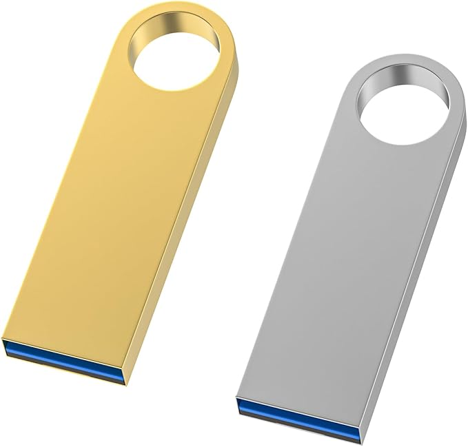 USB 3.0 Flash Drive 128GB 2 Pack, Wooolken High Speed USB 3.0 Thumb Drives by WOOOLKEN