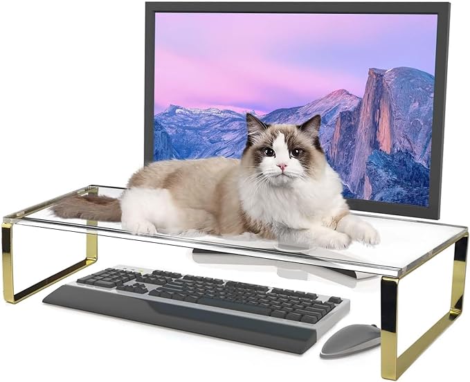 Keyboard Cat Protector by Czpeotas