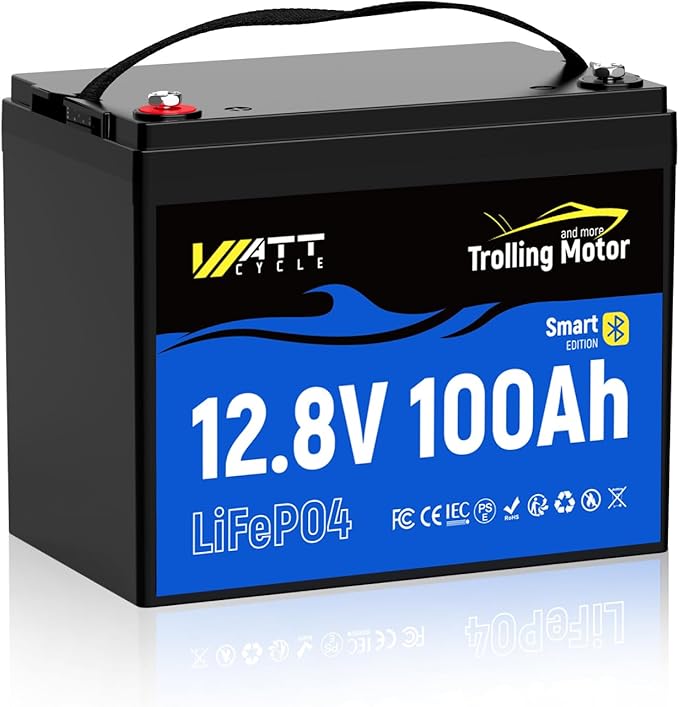 12V 100Ah TMBT LiFePO4 Lithium Battery - Image 8