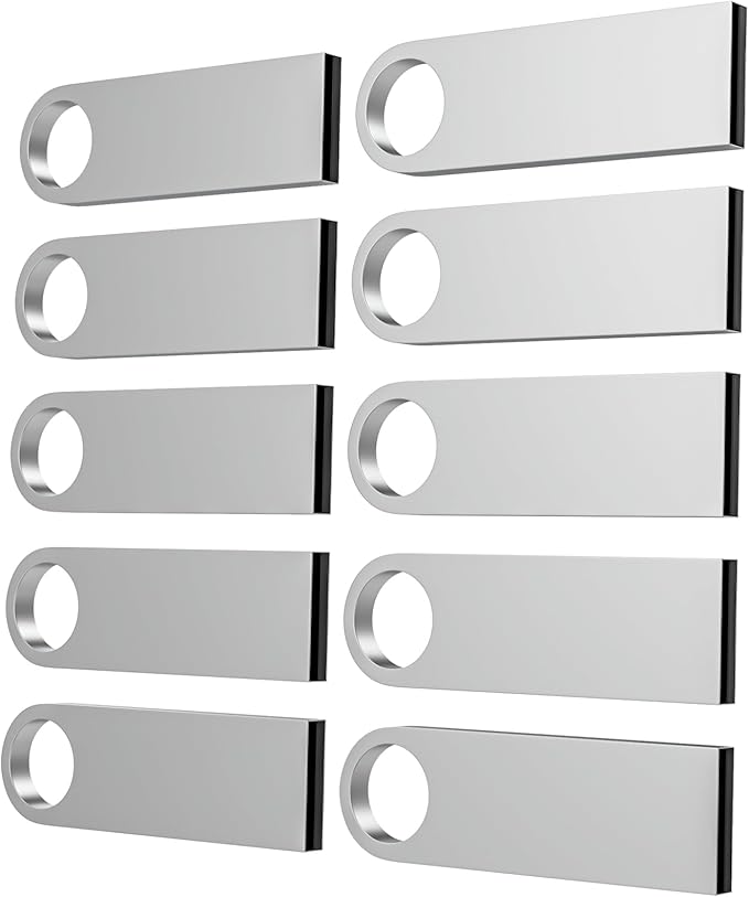 ABLAZE 2GB Flash Drive 10 Pack, Metal USB 2.0 Thumb Drives by ABLAZEGlobal