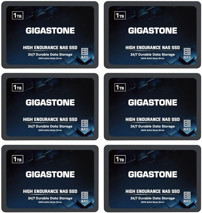 Gigastone 1TB NAS SSD Drive 24/7 Durable TLC High Endurance RAID Data Storage by Gigastone