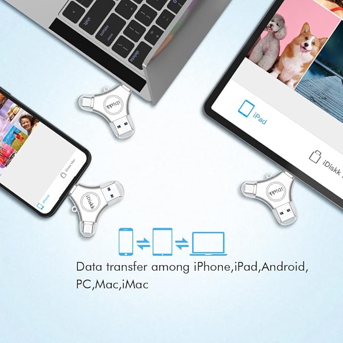 iDiskk 256GB App-le Certified Flash Drive Photo Vault - Image 5