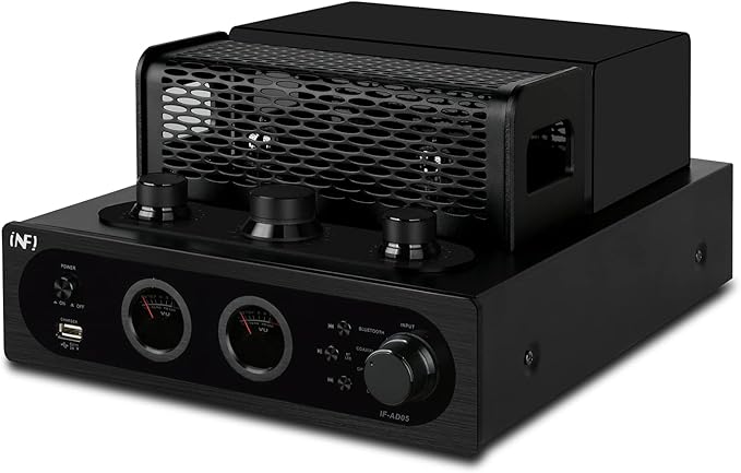 INFI Audio Hybrid Class AB Tube Amplifier 6N3 Power Amp - Image 2