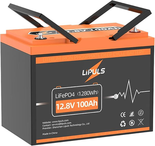 12.8V 100Ah LiFePO4 Battery, Group 24 Size • Built-in 100A BMS, Max.1280Wh by LiPULS
