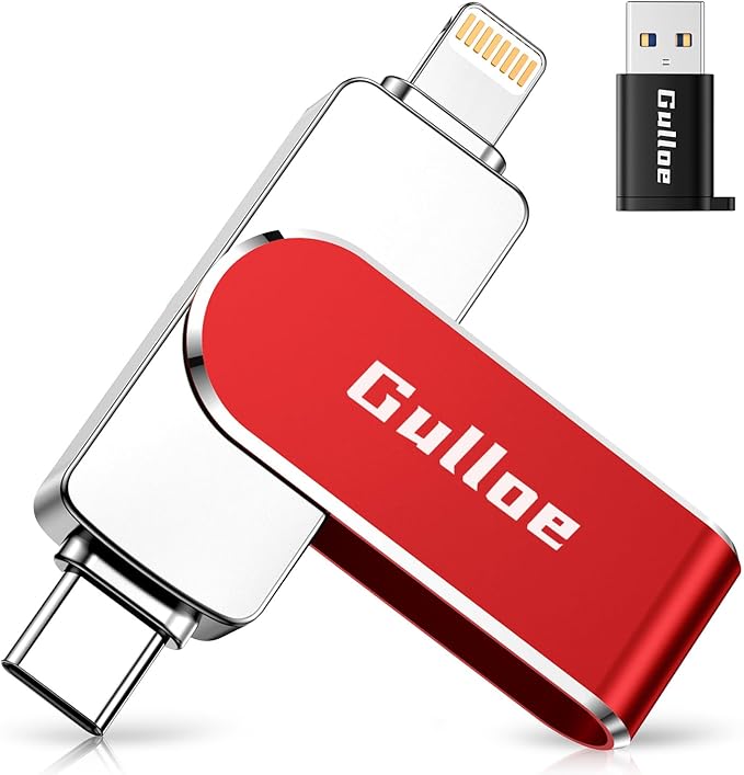Gulloe 256GB Flash Drive Intended by Gulloe