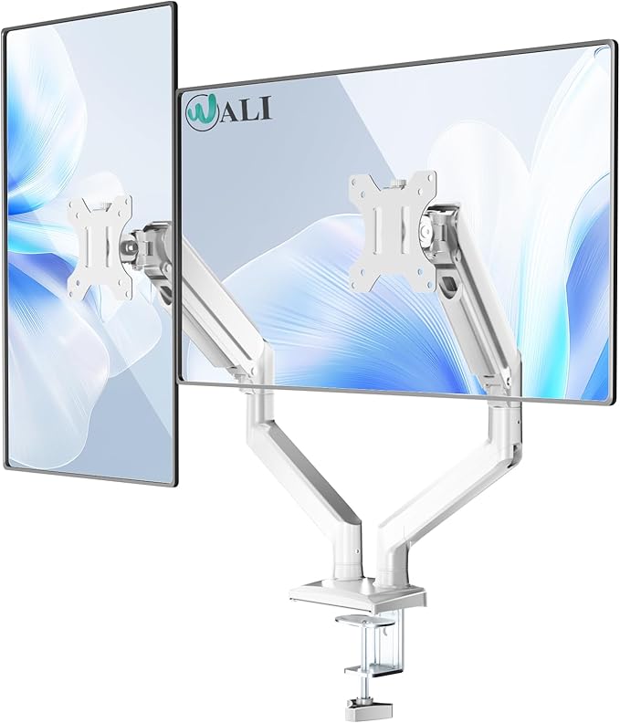WALI Dual Monitor Stand for 17-32 inch Screens, Dual Monitor Arms for 2 by WALI