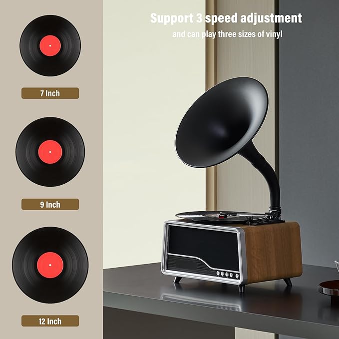 Vintage Gramophone Record Player，Italian Style Gramaphone Vintage Phonograph - Image 4