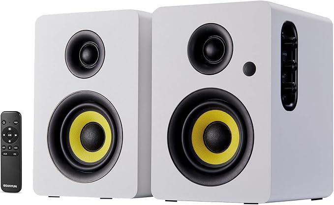 SW206 4” HiFi Bookshelf Speakers by Sanyun