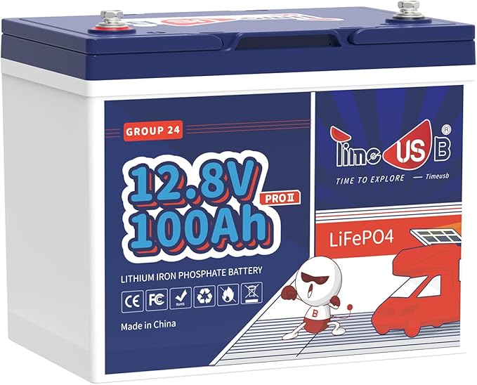 12V100Ah Group24 Mini LiFePO4 Battery, Grade A Battery Cells, Drop-in by Timeusb