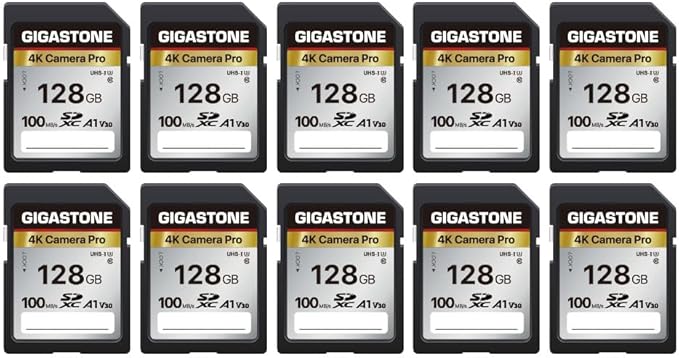 GIGASTONE 128GB SD Card 10-Pack, 4K Camera Pro, A1 V30 SDXC Memory Card 4K UHD by Gigastone
