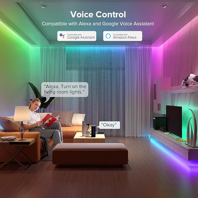 WiFi RGB IC LED Controller DR03W, Control by Smart Life/Tuya APP/Alexa/Google - Image 3
