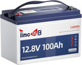 12V 100Ah LiFePO4 Battery with Low Temperature Cut off Protection Group31 by Timeusb