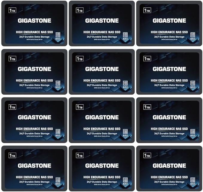 Gigastone 1TB NAS SSD Drive 24/7 Durable TLC High Endurance RAID Data Storage by Gigastone