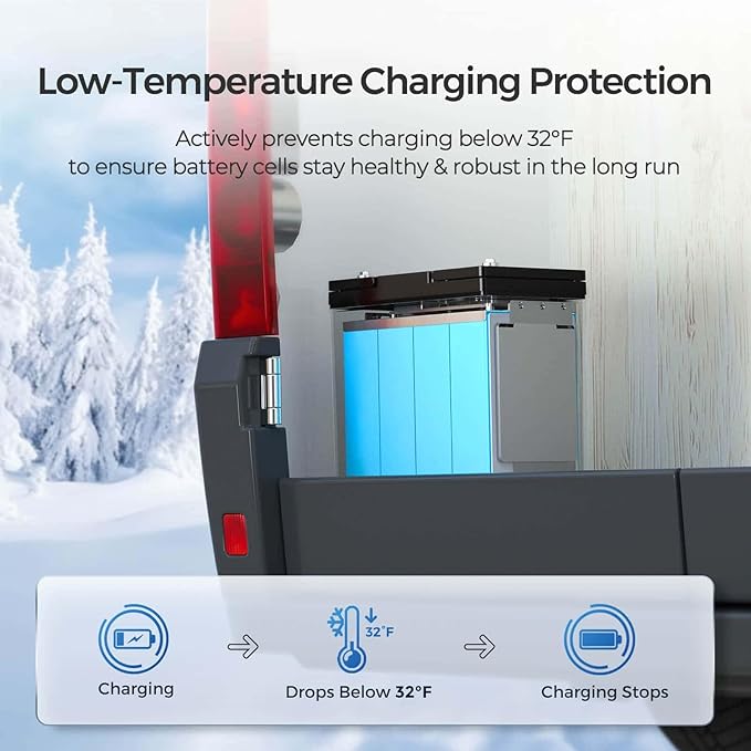 Renogy 12V 100Ah LiFePO4 Lithium Battery Mini Size, 100A BMS - Image 3