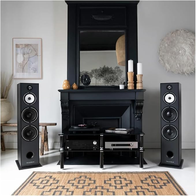 triangle - BOREA BR10 Hi-Fi Floorstanding Speakers - Power handling 200W - - Image 2