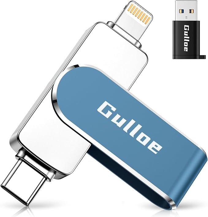 Gulloe 256GB Flash Drive Intended by Gulloe