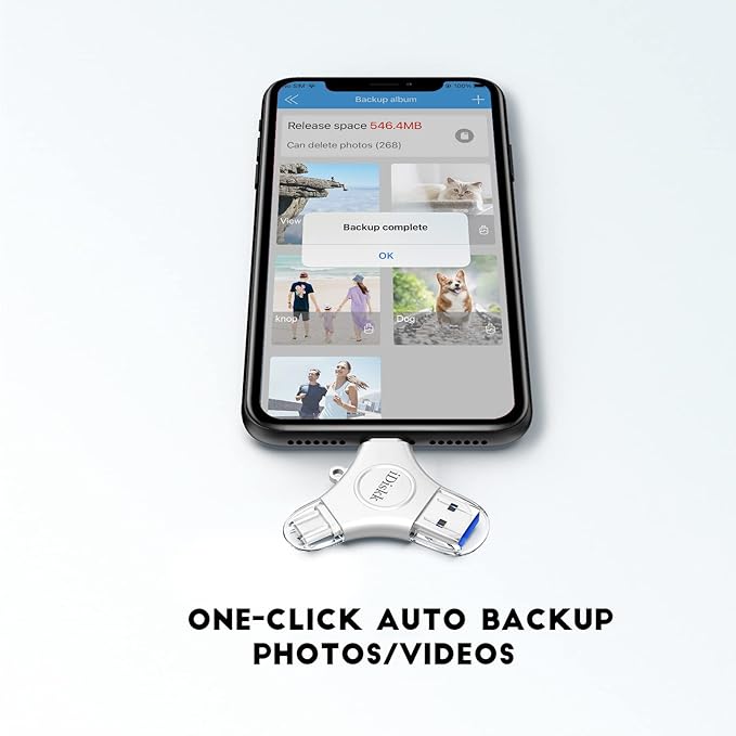 App*le Certified iDiskk 1TB iPhone 16 and 15 Photo flashdrive - Image 2