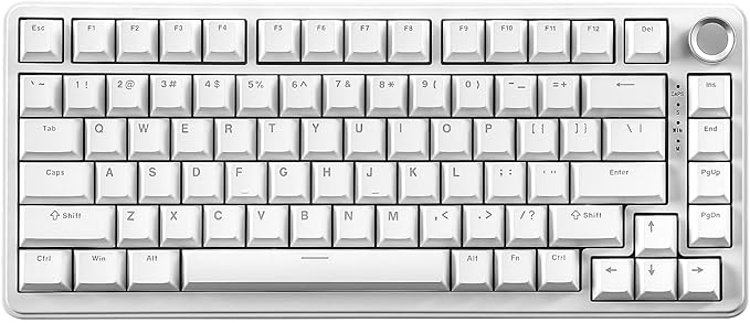 YUNZII B75 Mechanical Keyboard, 75% Layout by YUNZIIMECHANICALKEYBOARD