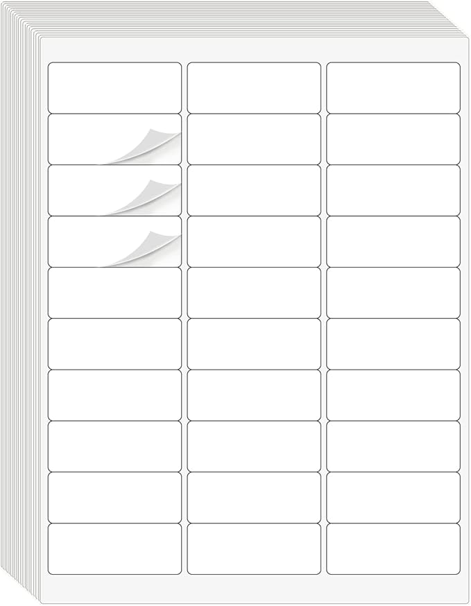 1" x 2-5/8" Address Labels 3000 Labels Sticker Paper by DINIZON