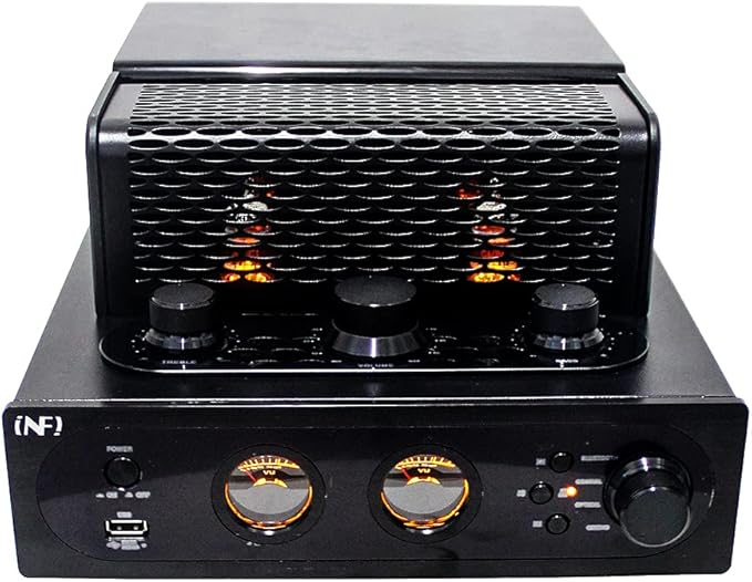 INFI Audio Hybrid Class AB Tube Amplifier 6N3 Power Amp - Image 3