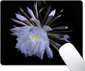 Night Blooming Flower Mouse Pad, Flawless White Flowers Mousepad by EASTSMOOTH