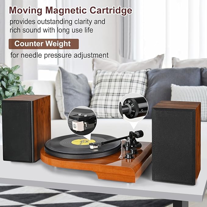 Vinyl Record Player with Bluetooth Input Output, Turntable with Built-in Preamp - Image 5