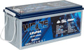 WEIZE 24V 100AH Bluetooth LiFePO4 Lithium Battery, Grade A Cells, 150A BMS by WEIZE