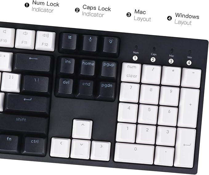 Keychron C2 Full Size 104 Keys USB Type-C Wired Mechanical Gaming Keyboard - Image 3