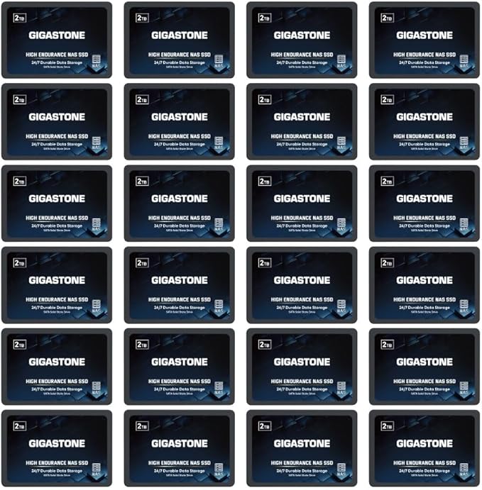 Gigastone 2TB NAS SSD Drive 24/7 Durable TLC High Endurance RAID Data Storage by Gigastone