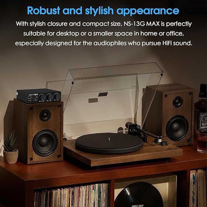 Douk Audio NS-13G MAX 300Wx2 Stereo Amplifier - Image 5