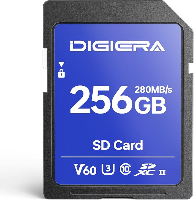 256GB LSU100 SDXC UHS-II Memory Card by DIGIERA