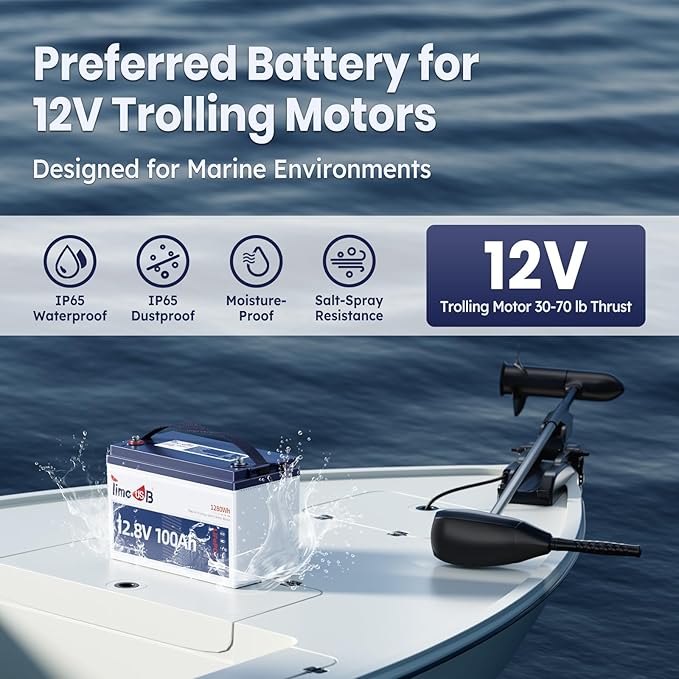 12.8V 100Ah TM LiFePO4 Battery - Image 5