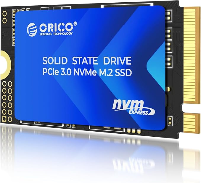 ORICO M.2 2242 NVMe SSD 512GB, PCIe 3.0 by PioneerDataSolutionPowerYourFuture