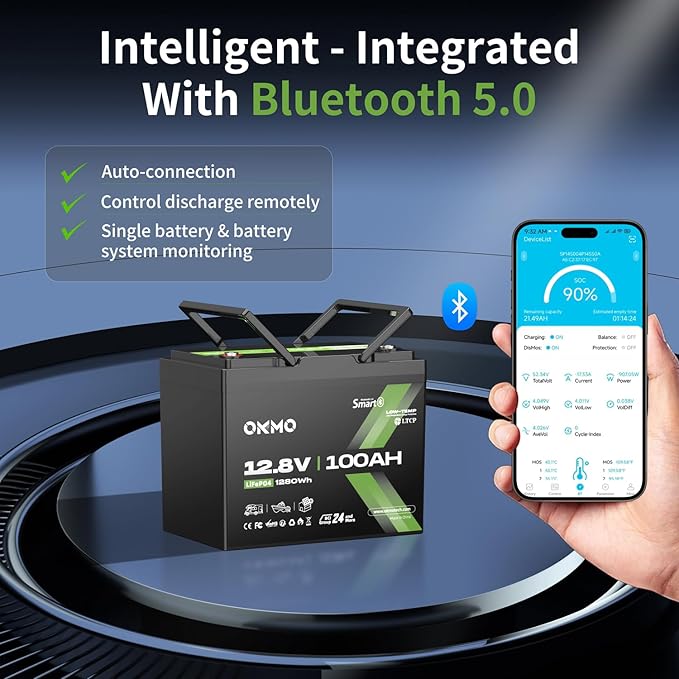 12V 100Ah LiFePO4 Battery with Bluetooth, BCI Group 24, Built-in 100A BMS - Image 2