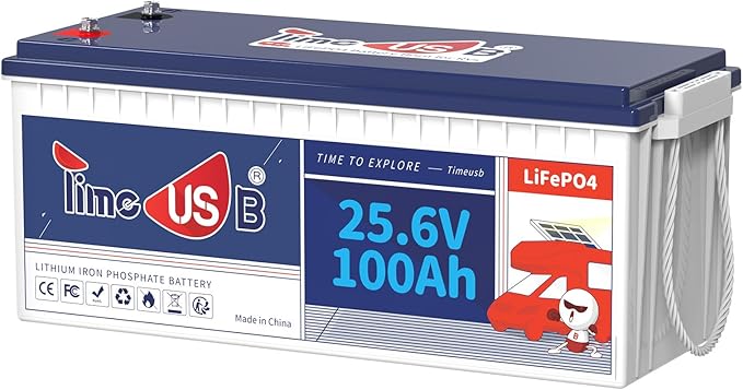 24V 100Ah LiFePO4 Battery, 2.56kWh Lithium Battery, Built-in 100A BMS, 10-Year by Timeusb