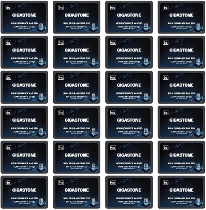 Gigastone 4TB NAS SSD Drive 24/7 Durable High Endurance RAID Data Storage by Gigastone