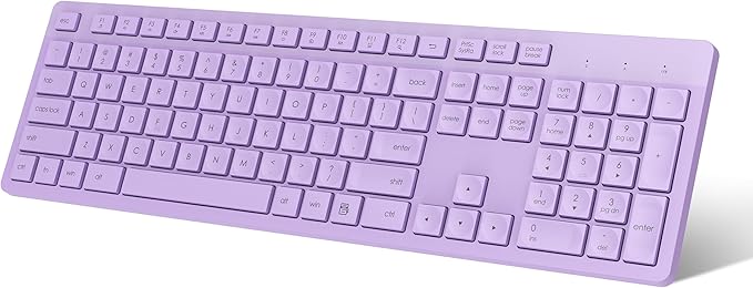 LeadsaiL Purple Wireless Keyboard, 2.4GHz Full-Sized Ergonomic Computer Keyboard by LeadsaiL