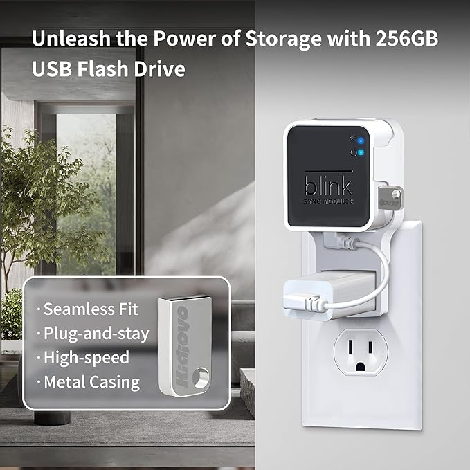256GB USB Flash Drive & Wall Mount - Image 2