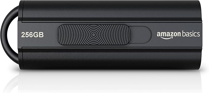 Amazon Basics 256 GB Ultra Fast USB 3.1 High Capacity Flash Drive by AmazonBasics