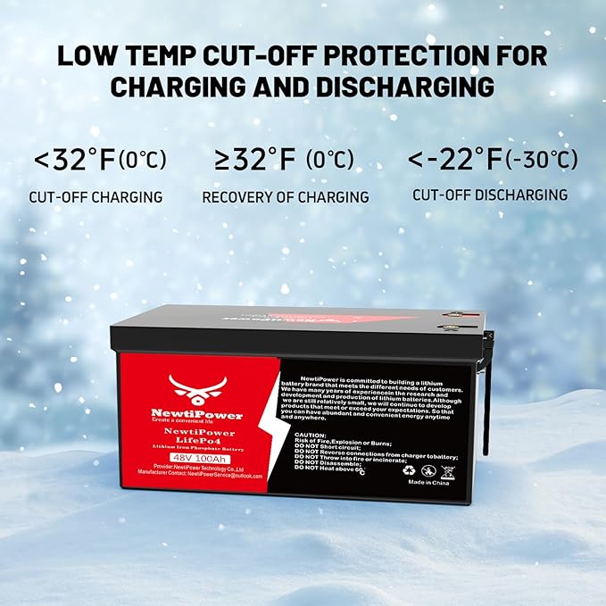 48V 100Ah Golf Cart Lithium LiFePO4 Battery - Image 6