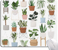 Mouse Pad, Pot Plant Mouse Pad, Mouse Mat Waterproof Non-Slip Rubber Base by SANWUMIAN