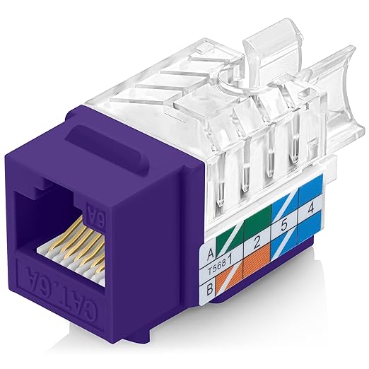 Everest 45° Angled RJ45 Cat6A Keystone Jacks 10-Pack in Purple by EverestMediaSolutions