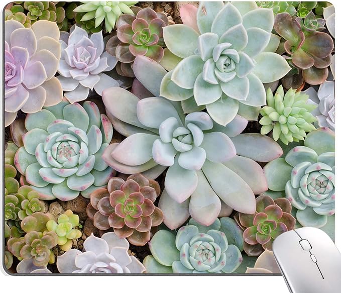 Mouse Pad, Cute Succulent Cactus Plants Mouse Pads, Square Washable Cloth by Armanza