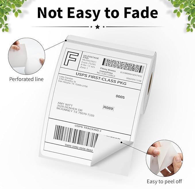 FungLam 6 Rolls 4"x6" Thermal Shipping Labels, 250 Labels/6 Roll, Perforated - Image 3