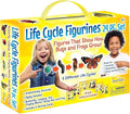 Insect Lore's Life Cycle Figurines 24 Pc Set | Butterfly, Honey Bee, Ant and by InsectLore