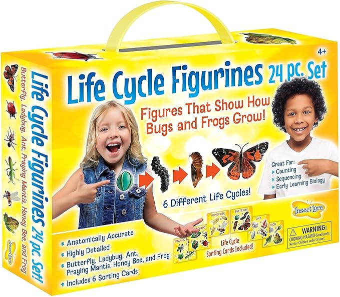 Insect Lore's Life Cycle Figurines 24 Pc Set | Butterfly, Honey Bee, Ant and by InsectLore